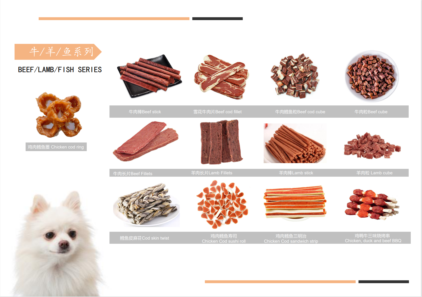 dog food dog treats